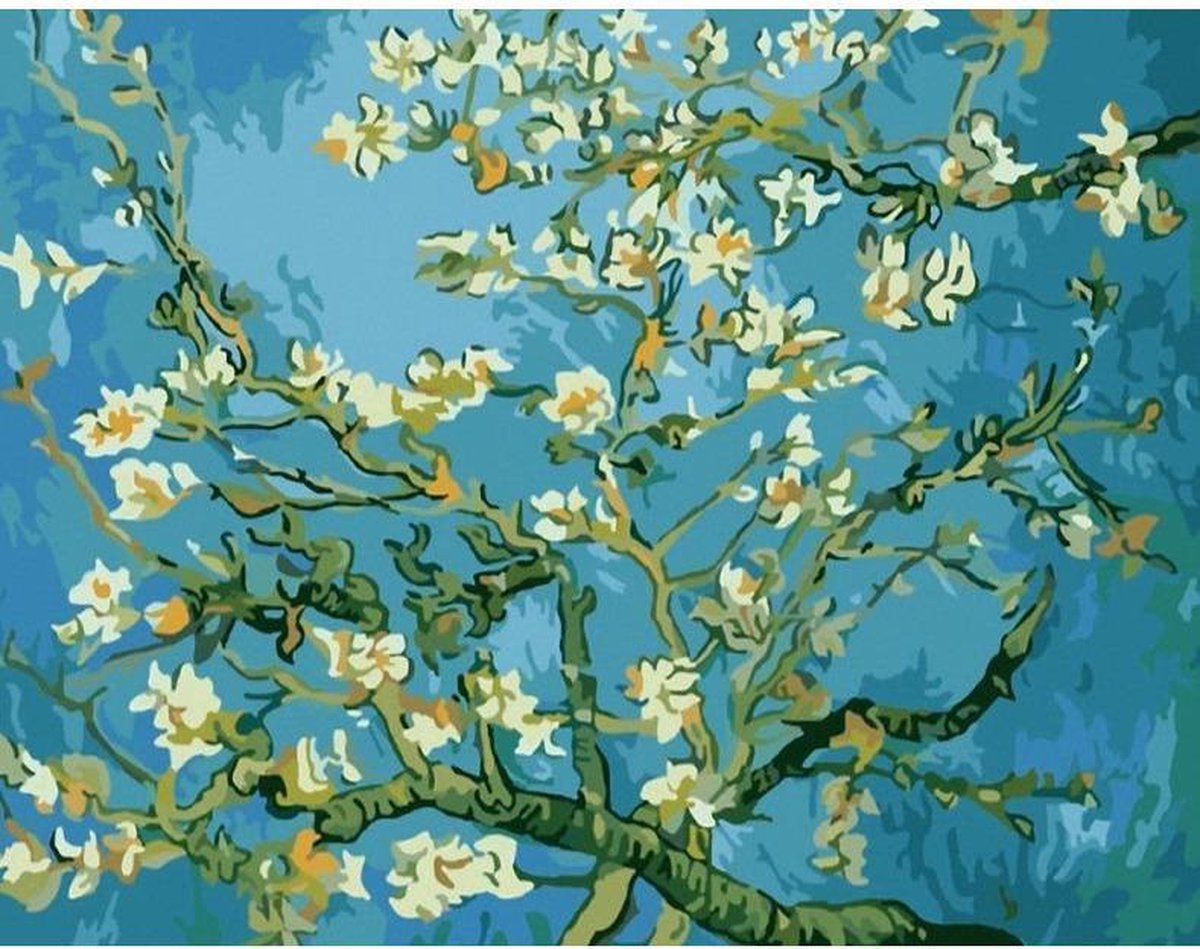 Schilderen op Nummer | Amandeltakken - 40x50cm - Exclusief Lijst (24 kleurtjes)